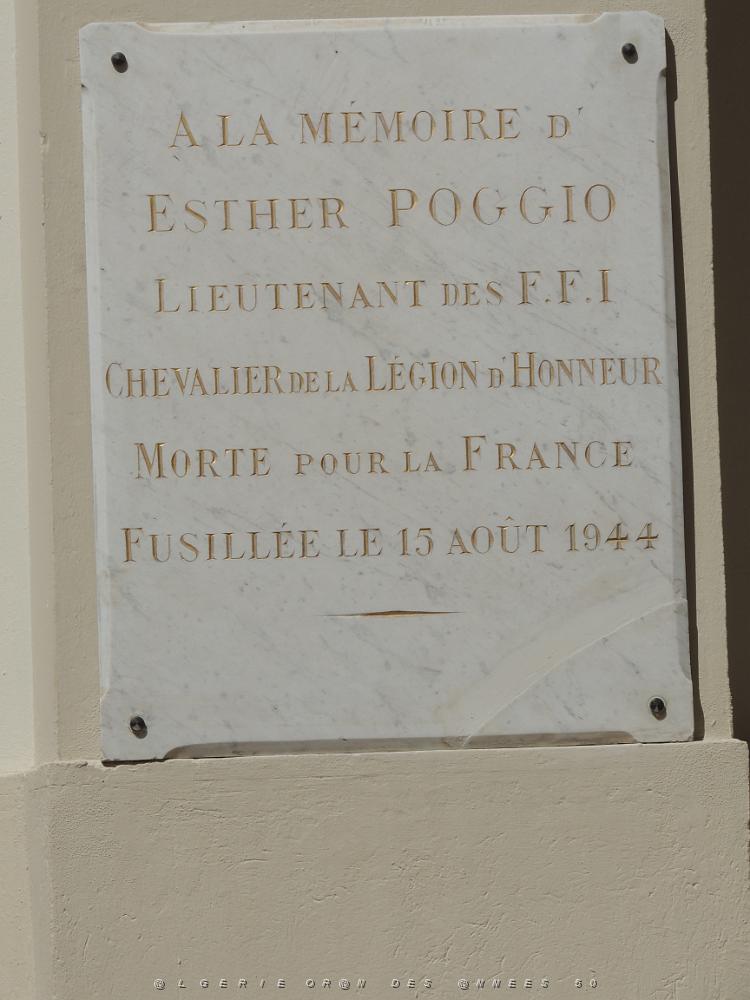 61 Toulon Les Halles.JPG -           